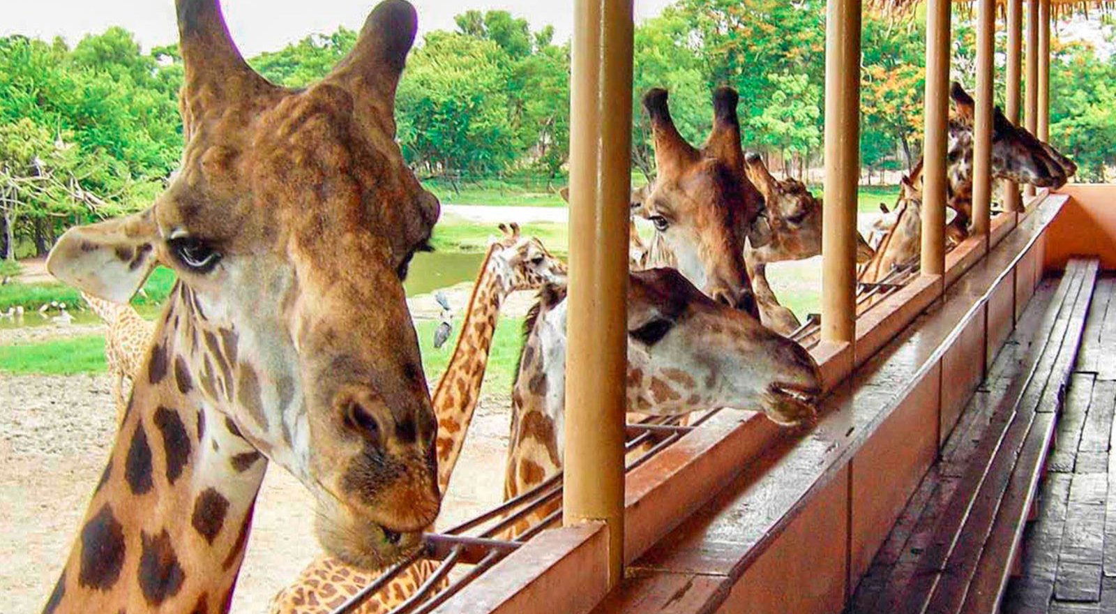 Budget friendly Tour from Bangladesh to Bangkok with Phuket and Krabi